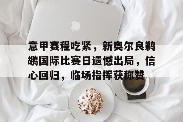 九游体育官网- 新奥尔良黄蜂队标 